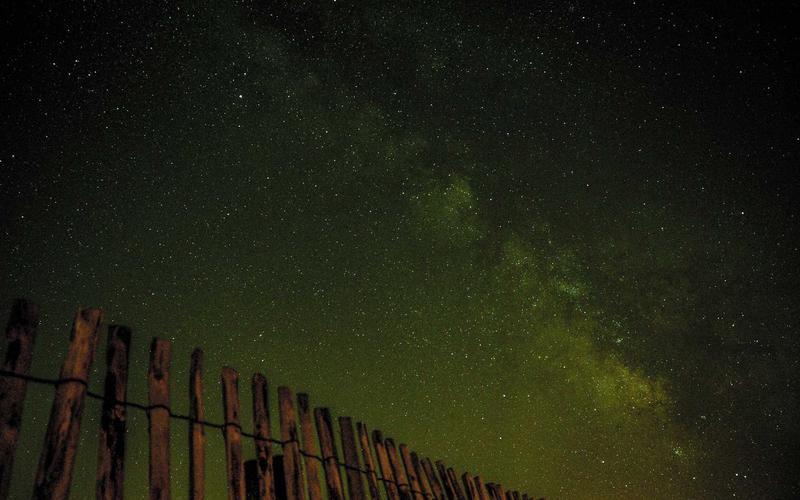 Когда искусство вдохновляет: татуировки по мотивам живописи и скульптуры
