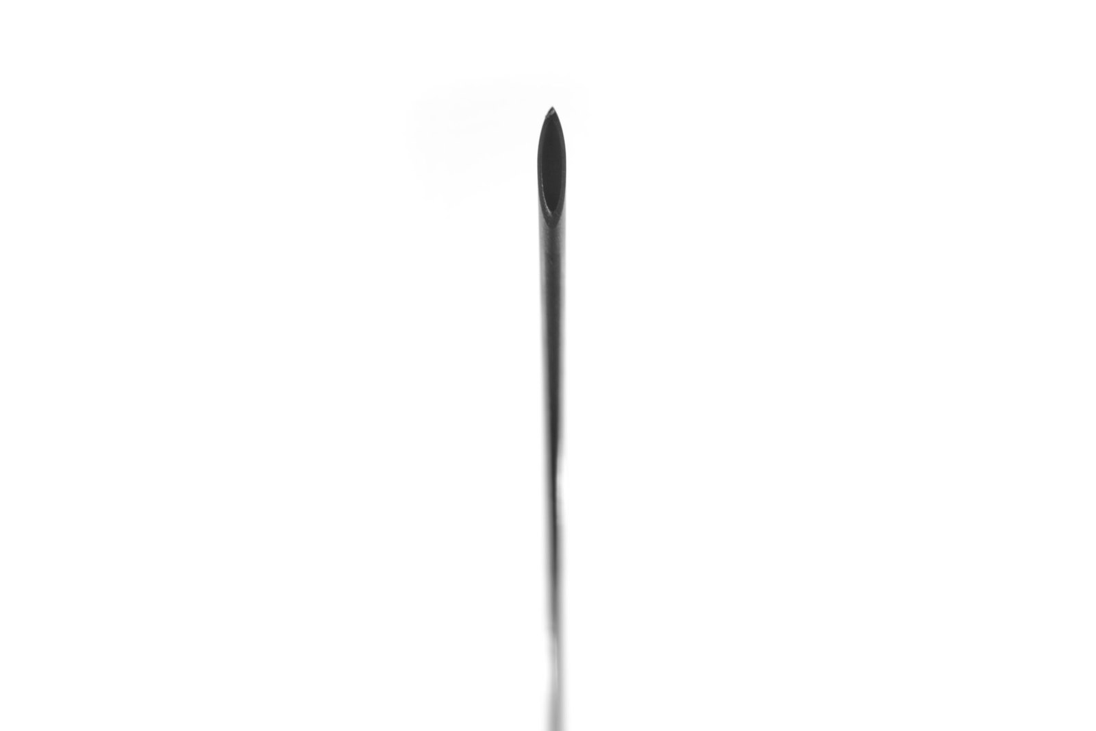 Пирсинг принц Альберт: что это, сроки и о чём молчат